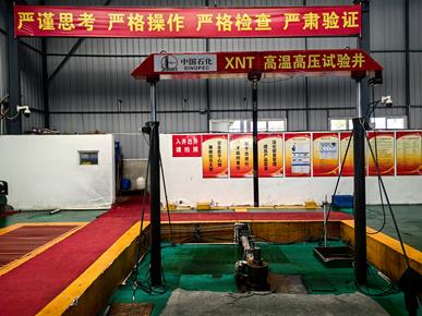 可溶解桥塞、封隔器高温高压模拟实验装置图片4